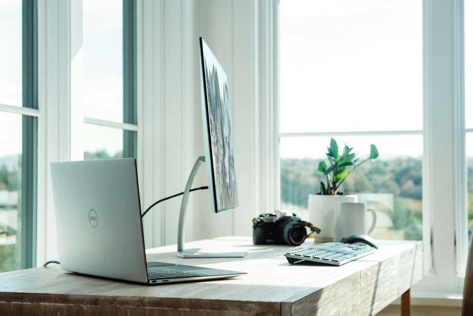 Laptop, monitor, webcam, and plant on a wooden desk in a sunlit home office, illustrating home office gadgets for remote workers